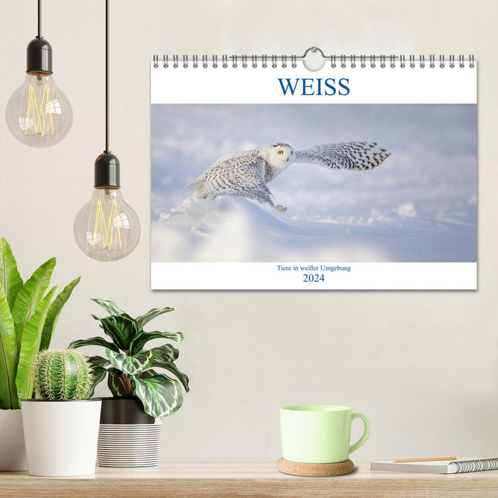 WEISS (CALVENDO Wandkalender 2024)