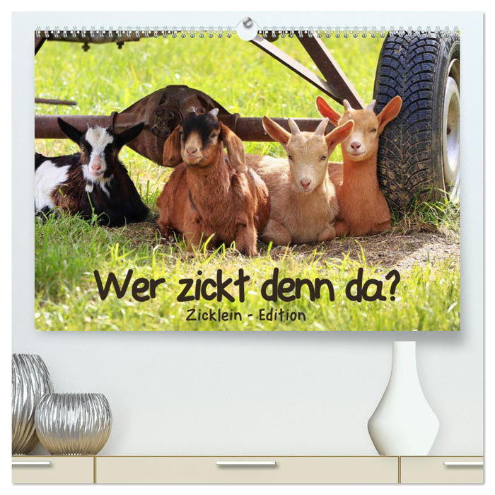 Wer zickt denn da? - Zicklein-Edition (CALVENDO Premium Wandkalender 2024)