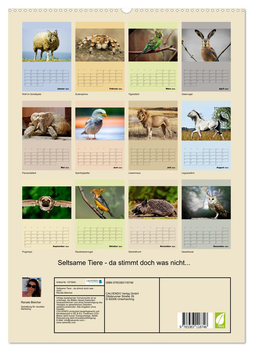 Strange animals - something is wrong... (CALVENDO Premium Wall Calendar 2024) 