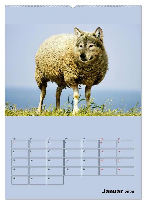 Seltsame Tiere - da stimmt doch was nicht... (CALVENDO Premium Wandkalender 2024)