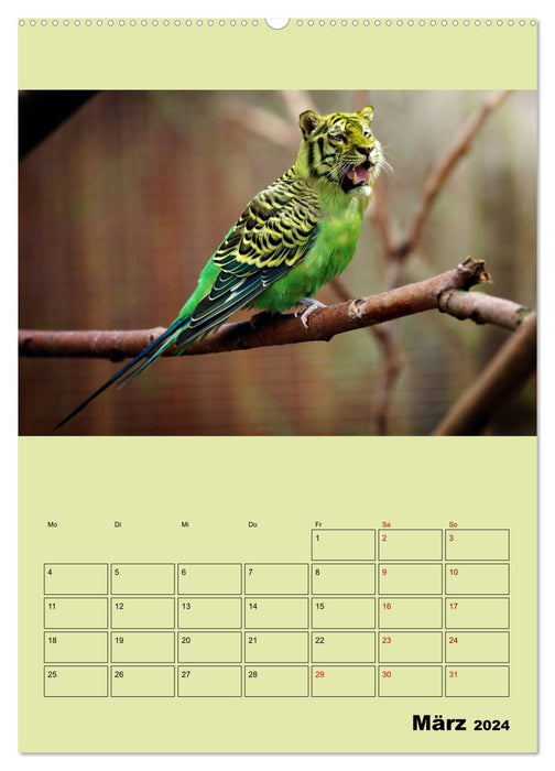 Strange animals - something is wrong... (CALVENDO Premium Wall Calendar 2024) 