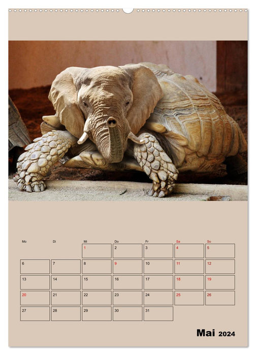 Strange animals - something is wrong... (CALVENDO Premium Wall Calendar 2024) 