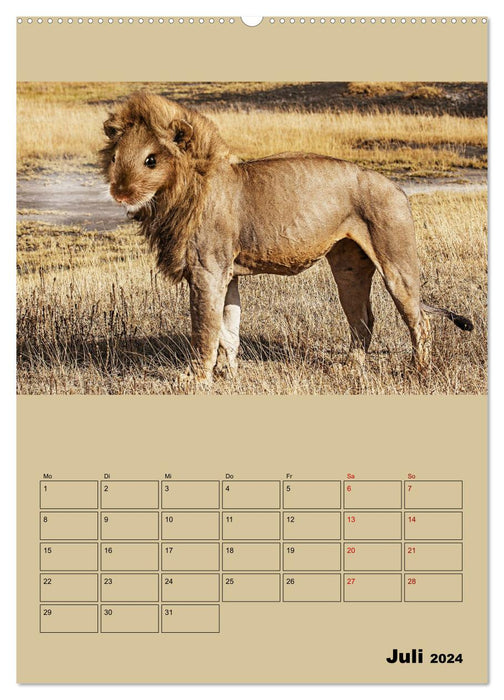 Strange animals - something is wrong... (CALVENDO Premium Wall Calendar 2024) 