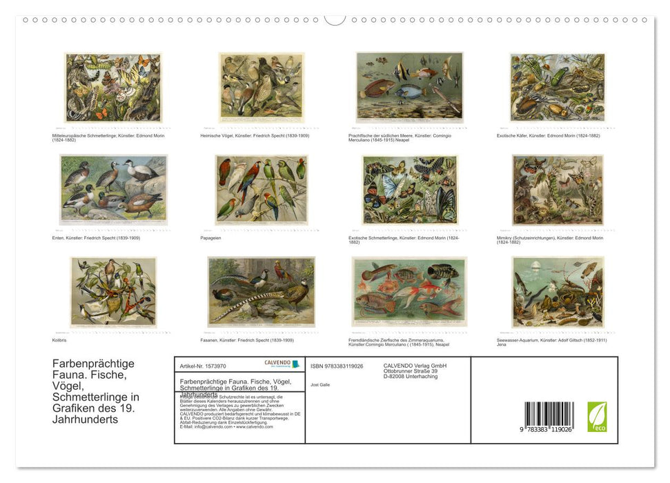Farbenprächtige Fauna. Fische, Vögel, Schmetterlinge in Grafiken des 19 Jahrhunderts (CALVENDO Premium Wandkalender 2024)