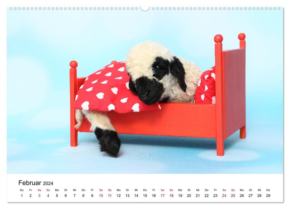 Walliser Schwarznasenschaf Valais Blacknose Sheep (CALVENDO Wandkalender 2024)