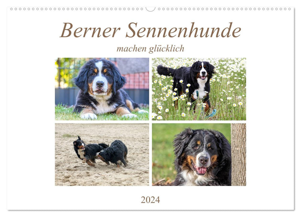 Berner Sennenhunde machen glücklich (CALVENDO Wandkalender 2024)
