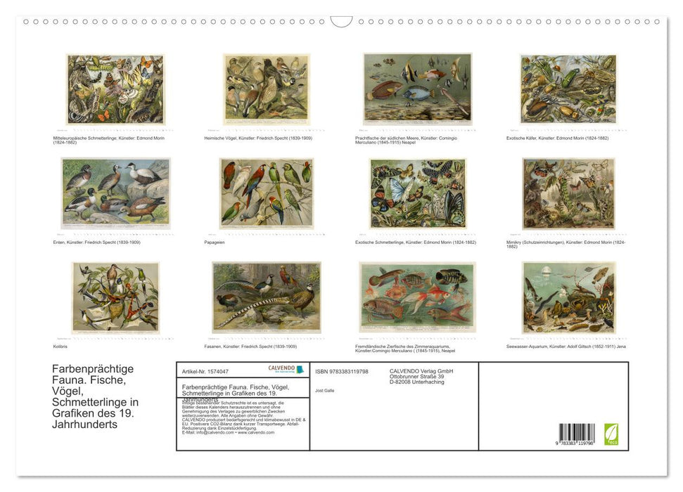 Farbenprächtige Fauna. Fische, Vögel, Schmetterlinge in Grafiken des 19 Jahrhunderts (CALVENDO Wandkalender 2024)