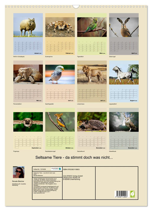 Strange animals - something is wrong... (CALVENDO wall calendar 2024) 