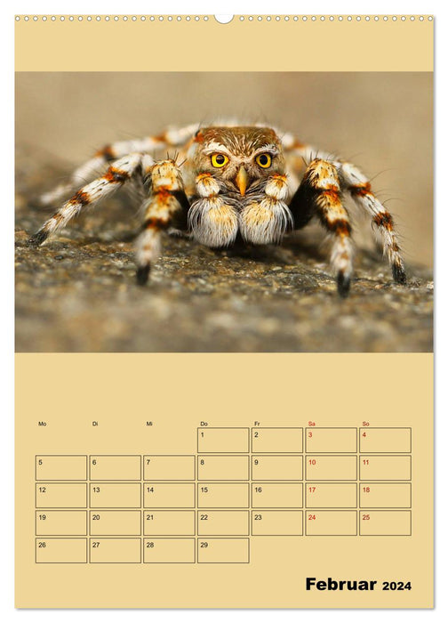 Strange animals - something is wrong... (CALVENDO wall calendar 2024) 