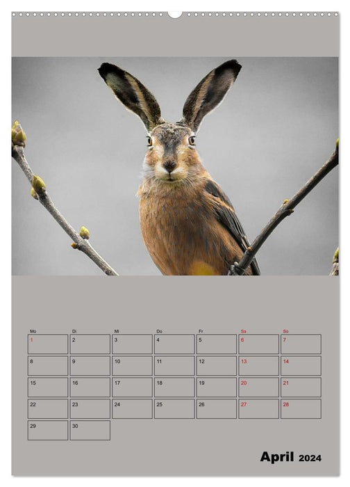 Seltsame Tiere - da stimmt doch was nicht... (CALVENDO Wandkalender 2024)