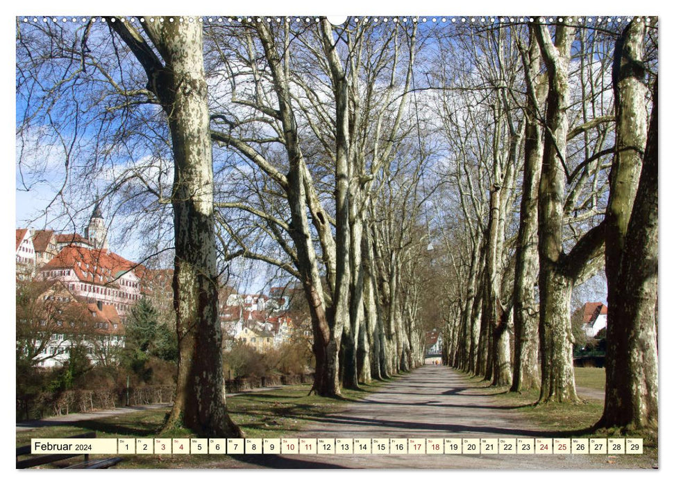 On the road in Tübingen (CALVENDO Premium wall calendar 2024) 