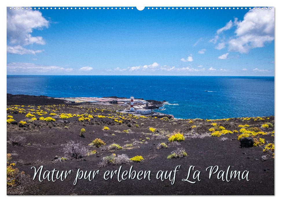 Experience pure nature on La Palma (CALVENDO wall calendar 2024) 