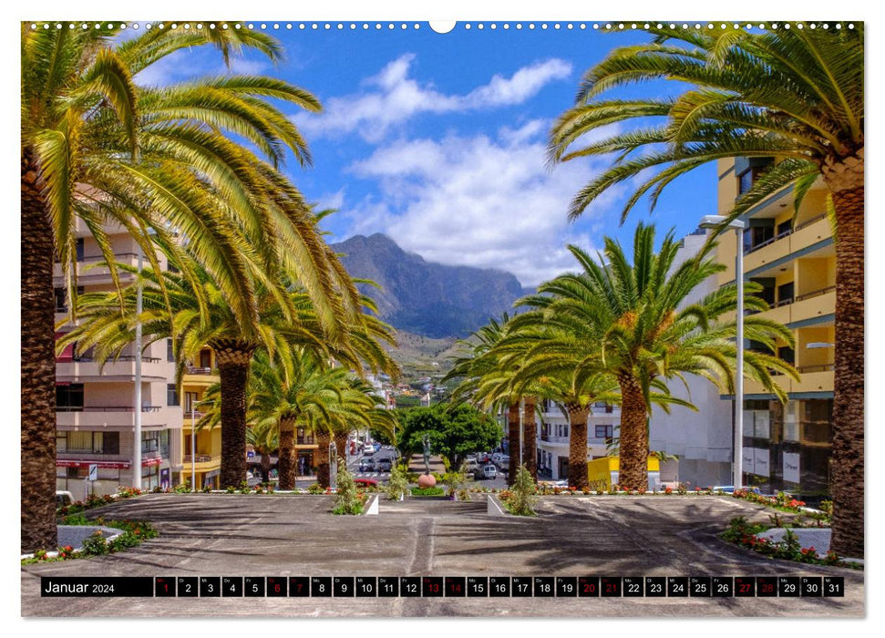 Natur pur erleben auf La Palma (CALVENDO Wandkalender 2024)