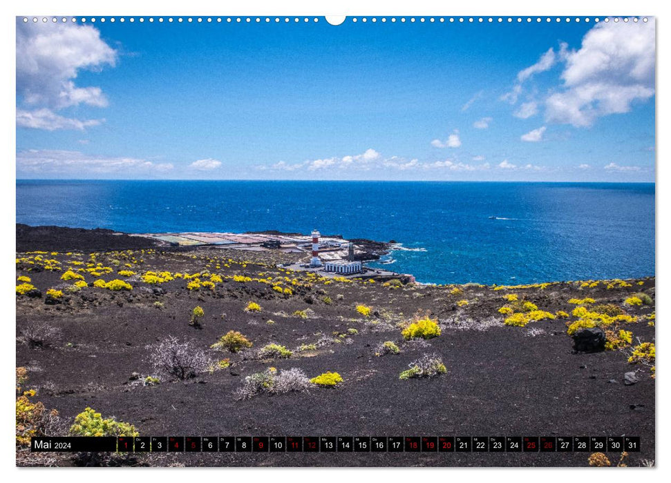 Natur pur erleben auf La Palma (CALVENDO Wandkalender 2024)