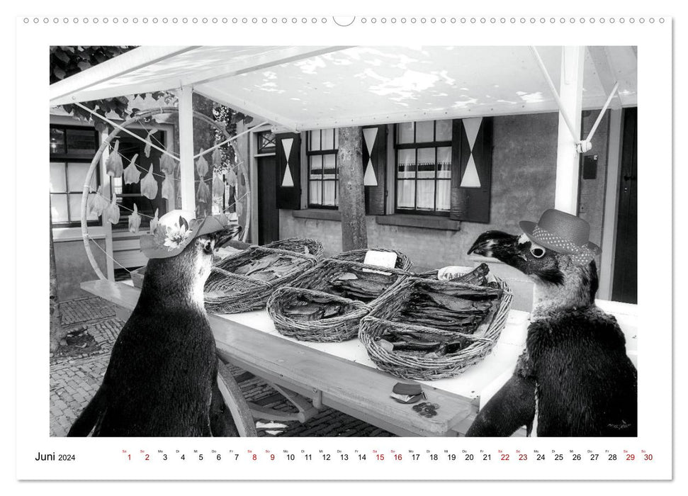 Penguins private (CALVENDO Premium Wall Calendar 2024) 