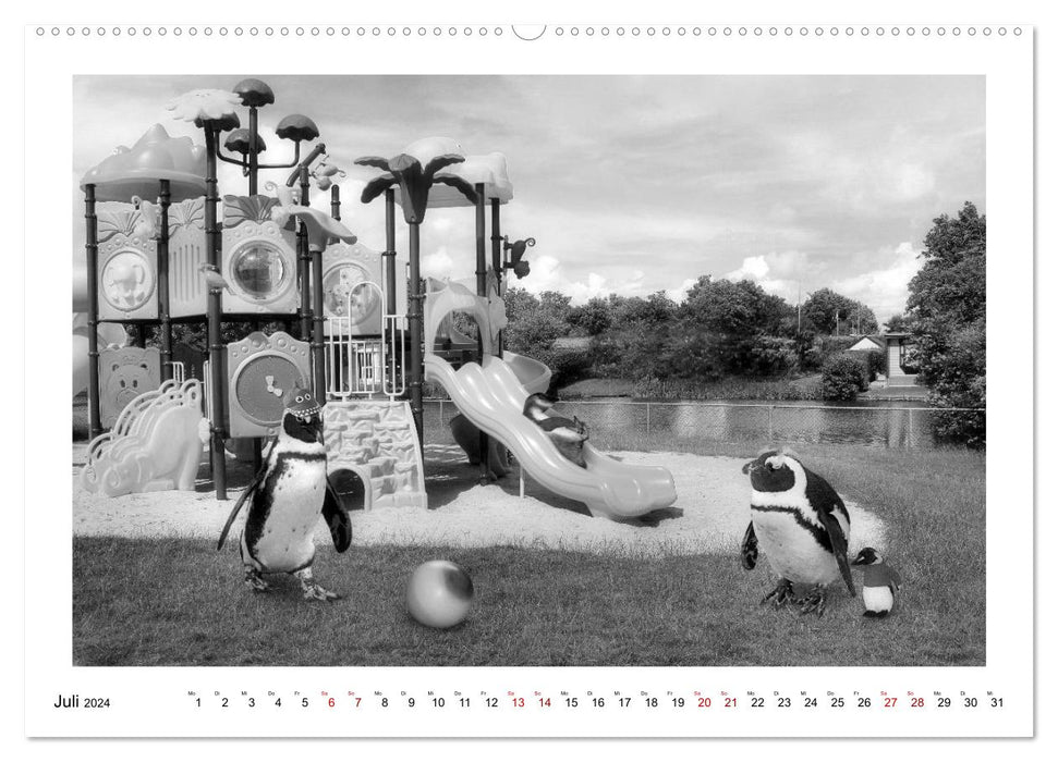 Penguins private (CALVENDO Premium Wall Calendar 2024) 