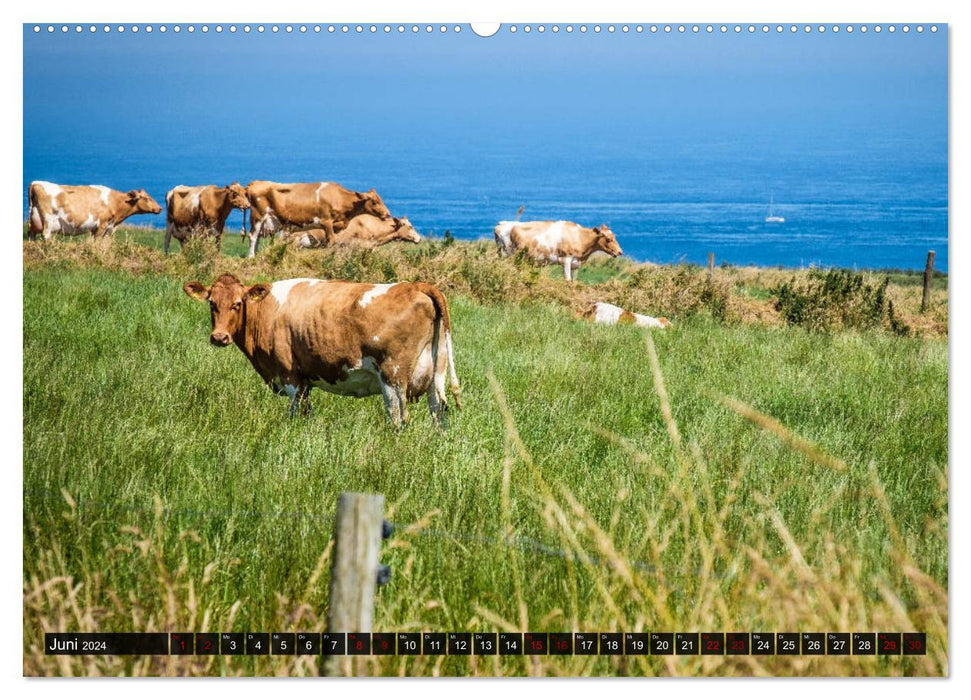 Cliffs and sea. Fantastic views of the islands in the English Channel (CALVENDO Premium Wall Calendar 2024) 