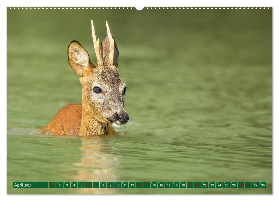 Oberösterreich Urlaubsregion Pyhrn-Eisenwurzen (CALVENDO Premium Wandkalender 2024)