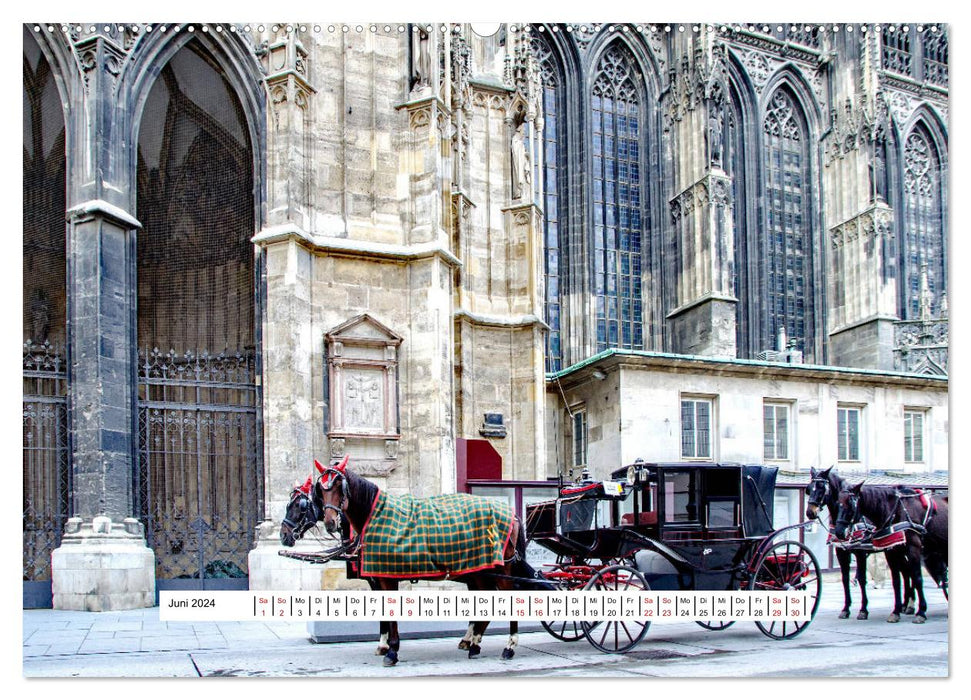 Wien Facettenreiche Metropole (CALVENDO Premium Wandkalender 2024)