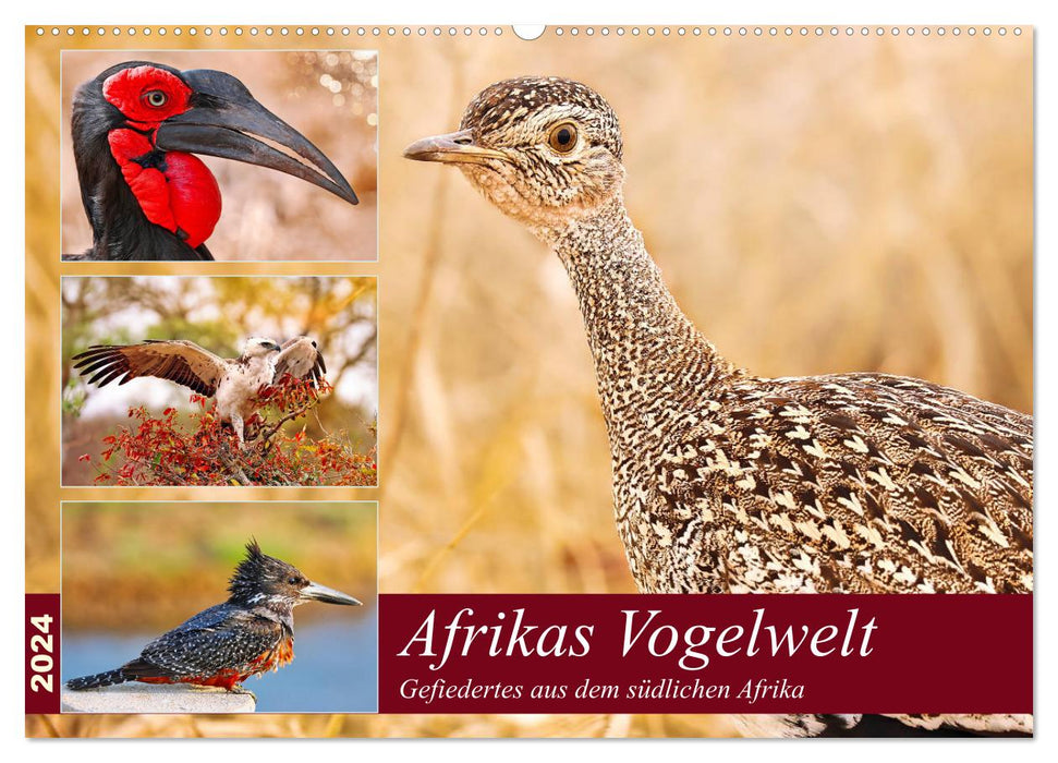 Afrikas Vogelwelt 2024 (CALVENDO Wandkalender 2024)
