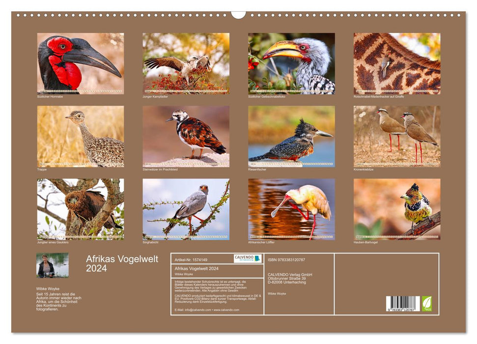 Le monde des oiseaux d'Afrique 2024 (calendrier mural CALVENDO 2024) 