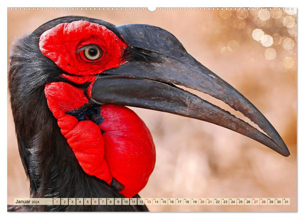 Africa's Bird World 2024 (CALVENDO Wall Calendar 2024) 