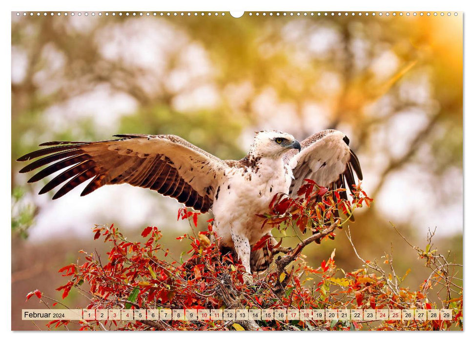 Afrikas Vogelwelt 2024 (CALVENDO Wandkalender 2024)