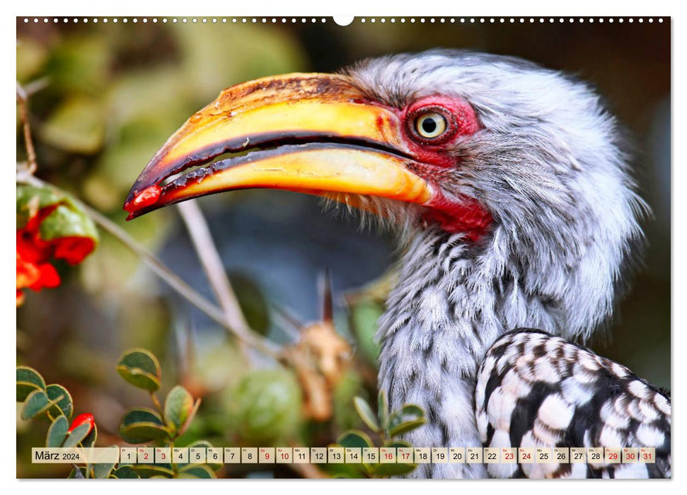 Le monde des oiseaux d'Afrique 2024 (Calvendo mural CALVENDO 2024) 