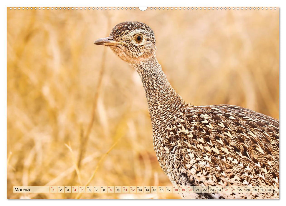 Le monde des oiseaux d'Afrique 2024 (calendrier mural CALVENDO 2024) 