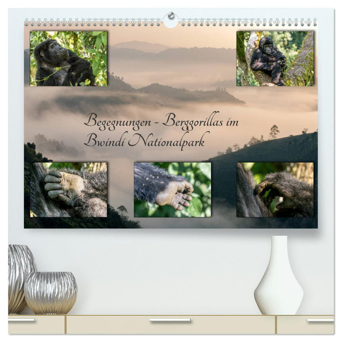 Begegnungen - Berggorillas im Bwindi Nationalpark (CALVENDO Premium Wandkalender 2024)