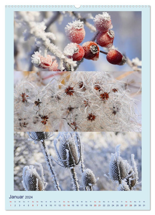 Mon année de jardinage - voyager avec l'appareil photo dans les jardins et les parcs (Calendrier mural CALVENDO Premium 2024) 