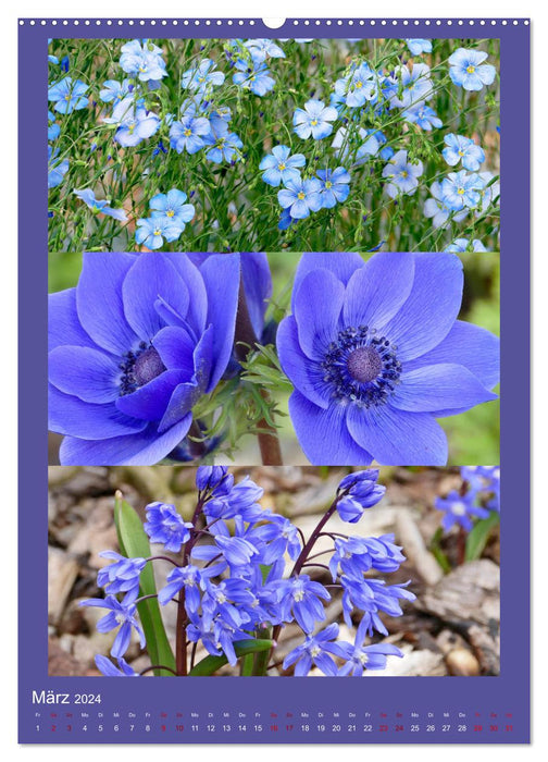 Mon année de jardinage - voyager avec l'appareil photo dans les jardins et les parcs (Calendrier mural CALVENDO Premium 2024) 