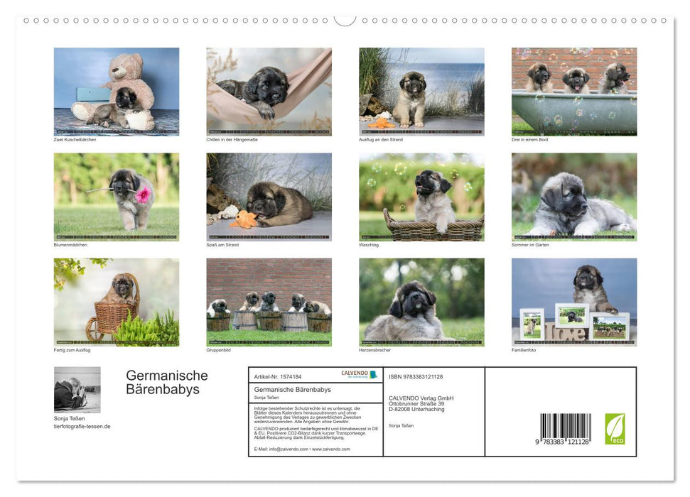 Germanic Bear Cubs (CALVENDO Premium Wall Calendar 2024) 