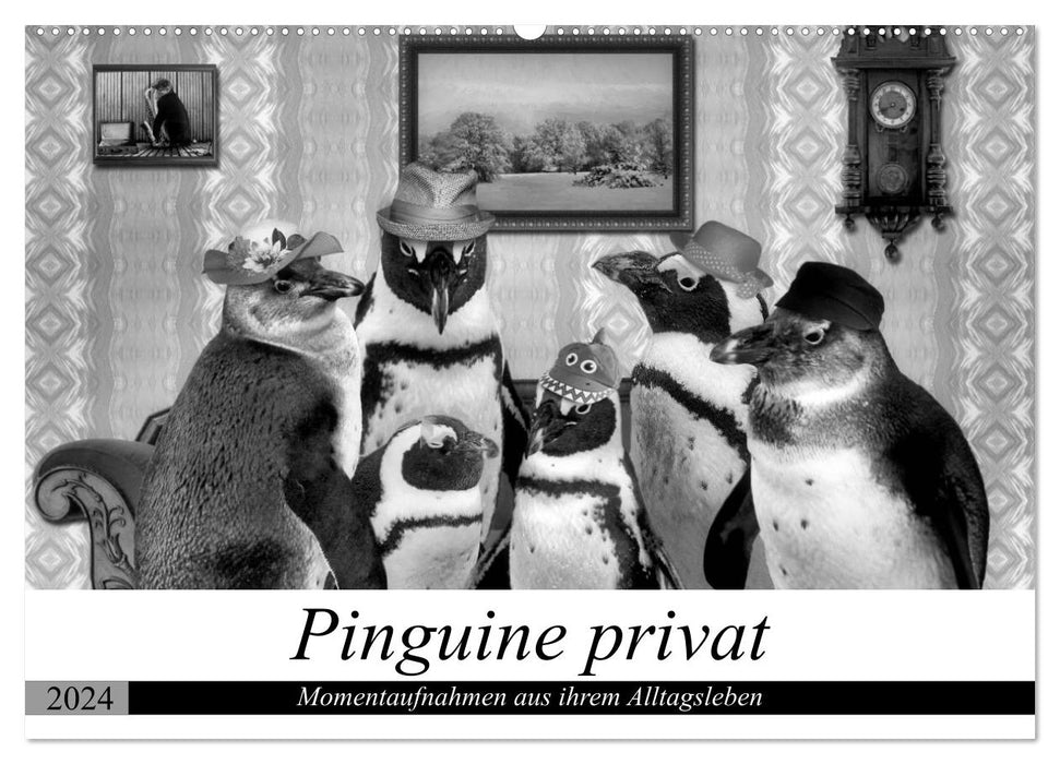 Pingouins privés (Calendrier mural CALVENDO 2024) 