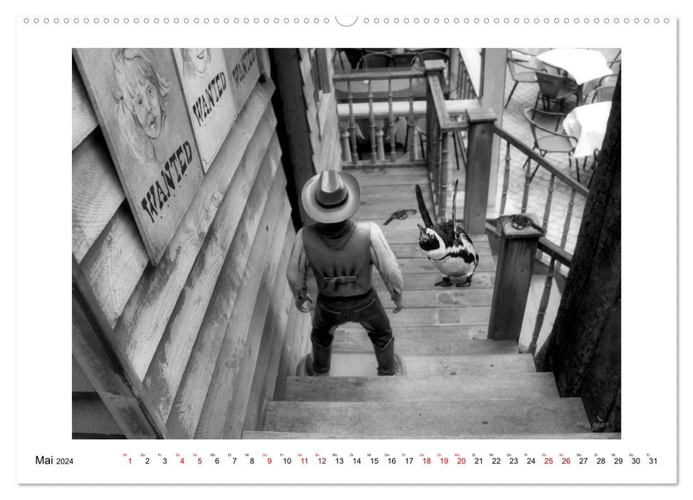 Penguins private (CALVENDO wall calendar 2024) 