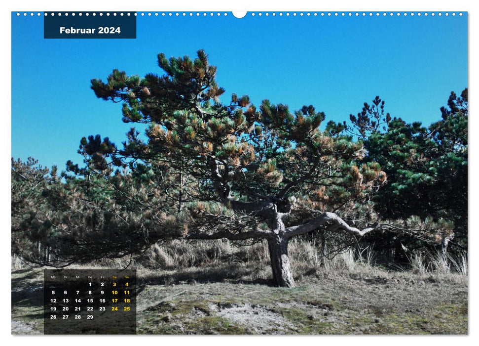 Texel island with character (CALVENDO Premium Wall Calendar 2024) 