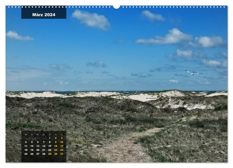 Texel Insel mit Charakter (CALVENDO Premium Wandkalender 2024)