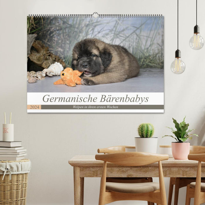 Germanic bear cubs (CALVENDO wall calendar 2024) 