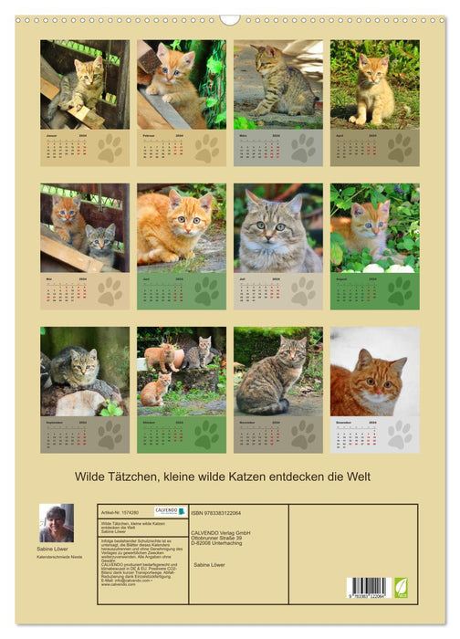 Wilde Tätzchen, kleine wilde Katzen entdecken die Welt (CALVENDO Wandkalender 2024)
