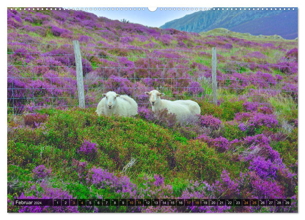 Snowdonia - Wales' wilder Norden (CALVENDO Wandkalender 2024)