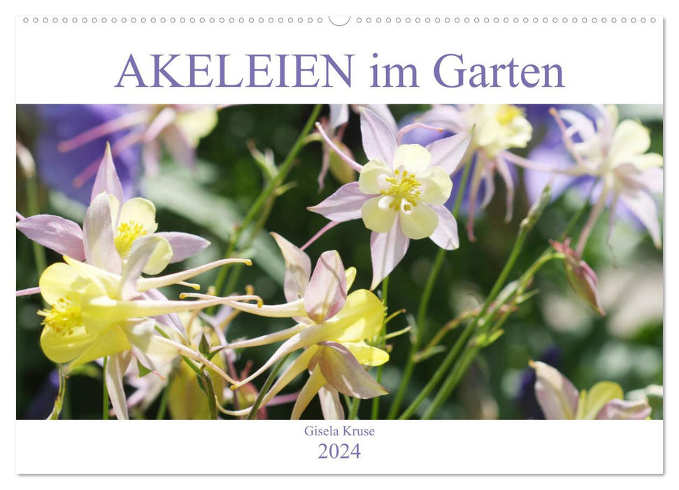 Akeleien im Garten (CALVENDO Wandkalender 2024)