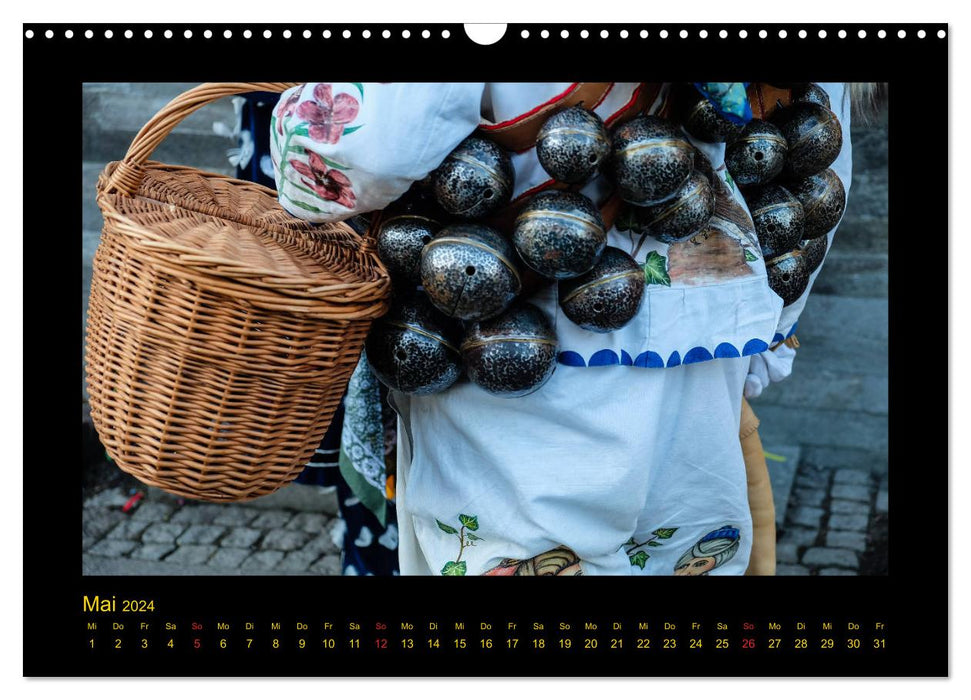 Rottweiler Narrensprung (CALVENDO Wandkalender 2024)