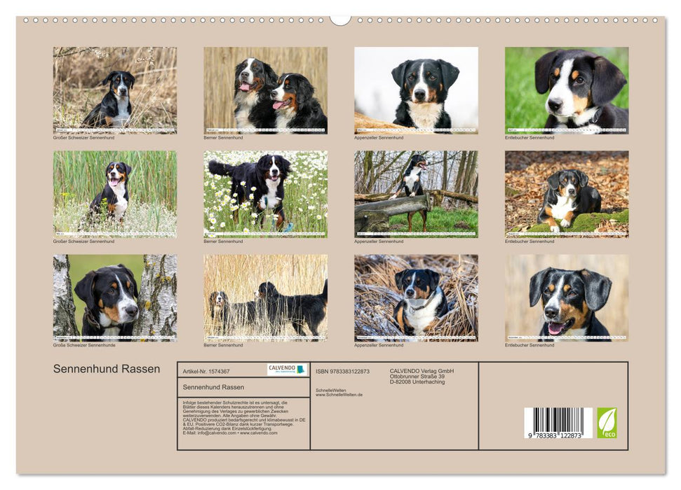 Mountain Dog Breeds (CALVENDO Premium Wall Calendar 2024) 