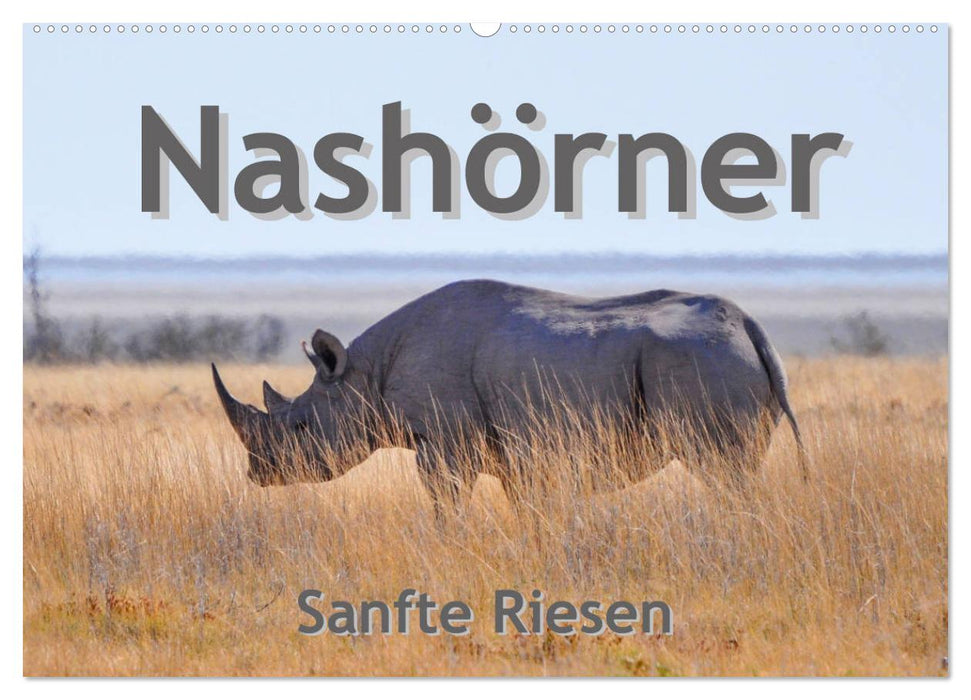 Nashörner - Sanfte Riesen (CALVENDO Wandkalender 2024)