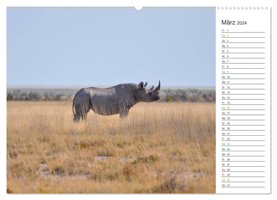 Rhinos - Gentle Giants (CALVENDO Wall Calendar 2024) 