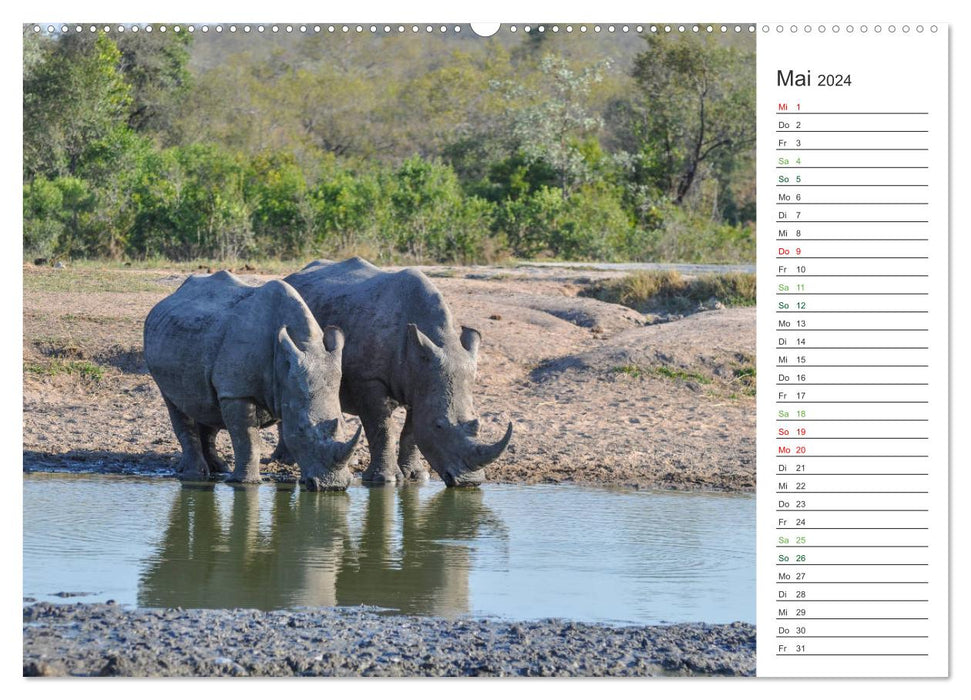 Rhinos - Gentle Giants (CALVENDO Wall Calendar 2024) 