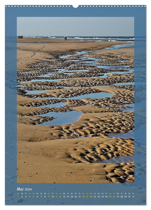 See and fall in love with Texel (CALVENDO wall calendar 2024) 