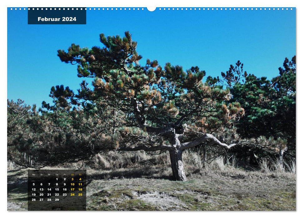 Île Texel de caractère (calendrier mural CALVENDO 2024) 