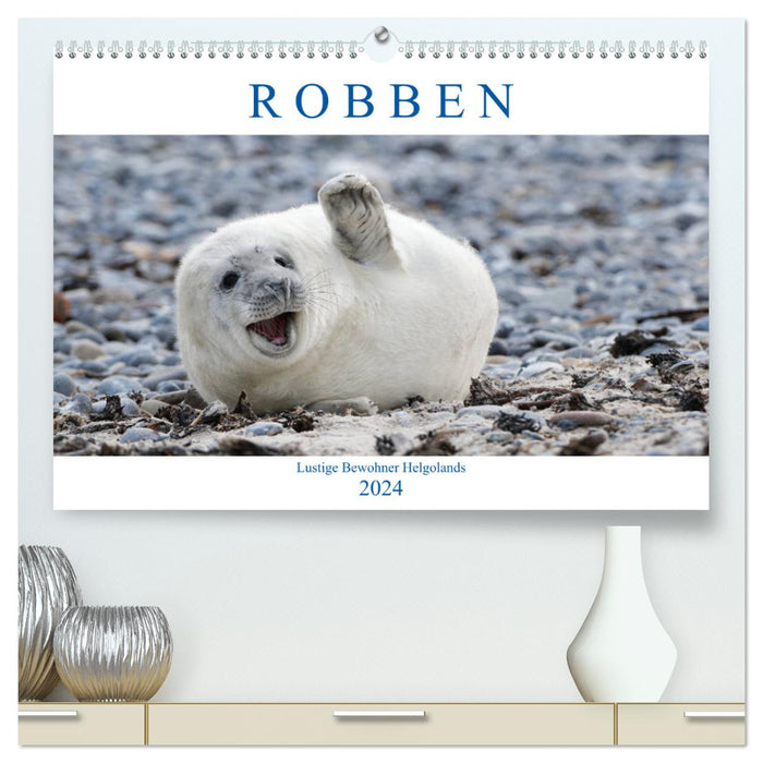 Seals - Funny inhabitants of Heligoland (CALVENDO Premium Wall Calendar 2024) 