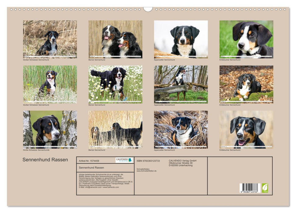 Sennenhund Rassen (CALVENDO Wandkalender 2024)